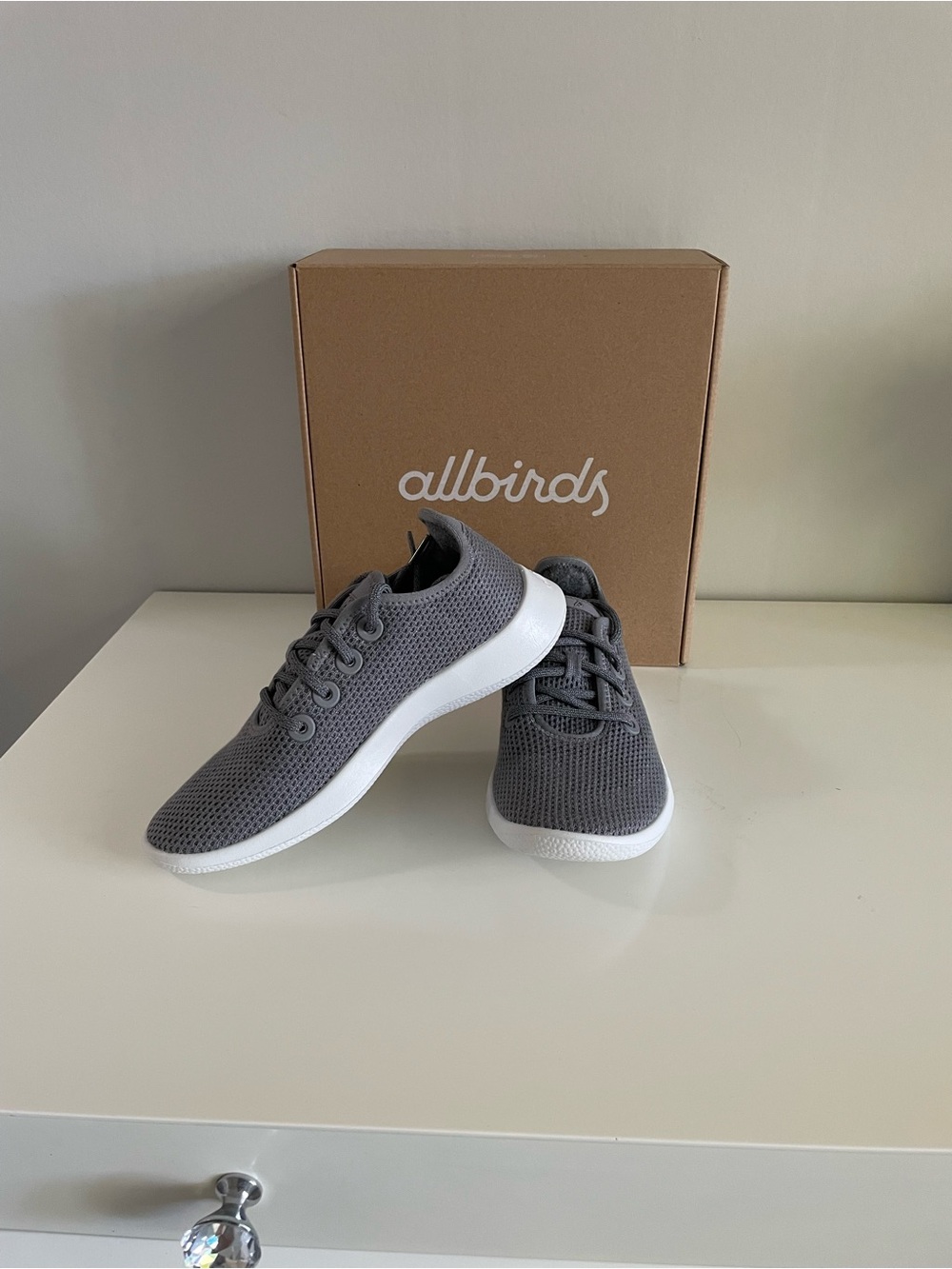 NWT AllBird Tree Runners Women’s Gray Sneakers